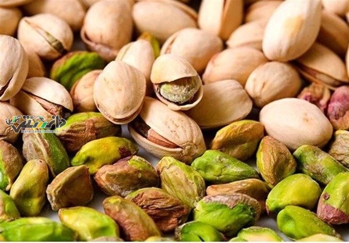 دانستنی کشاورزی/پسته ایران با استانداردهای جدید اتحادیه اروپا تطبیق میشود
