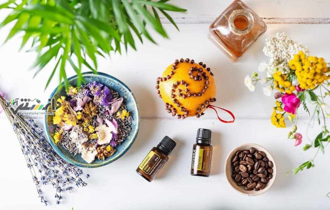 دانستنی خانه داری/داشتن خانه همیشه خوشبو با این ۱۰ راهکار ساده