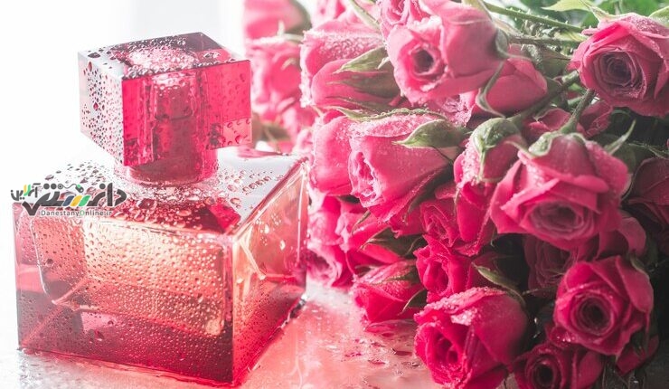 دانستنی مد/برای تولید عطرهای عاشقانه و رمانتیک از چه اسانسهایی استفاده کنیم؟