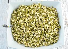 دانستنی سلامت/جوانه ماش؛ بمب ویتامین و پروتئین