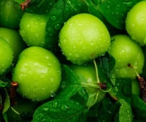دانستنی آشپزی/طرز تهیه غذا و دسرهای خوشمزه با گوجه سبز