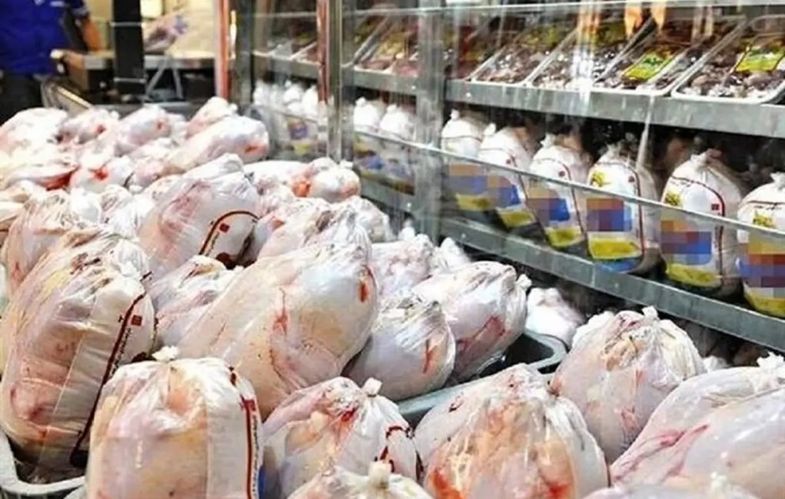 دانستنی کشاورزی/سقف قیمت فروش مرغ ۱۰۵ هزار تومان شد