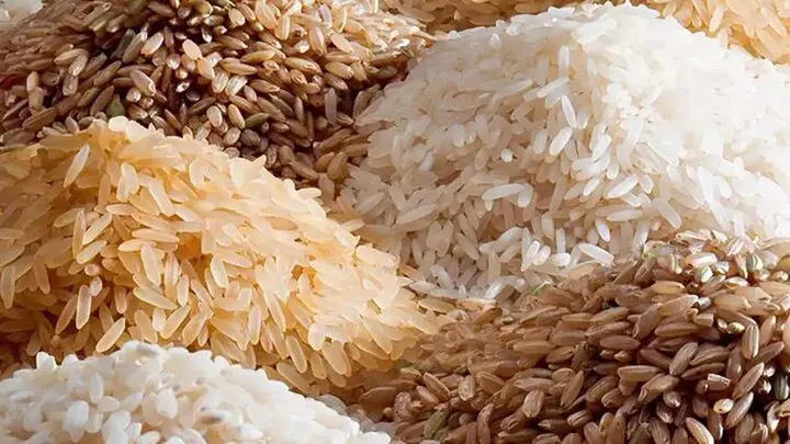 دانستنی کشاورزی/واردات برنج ۱۱۲۱ هندی دوباره آزاد شد