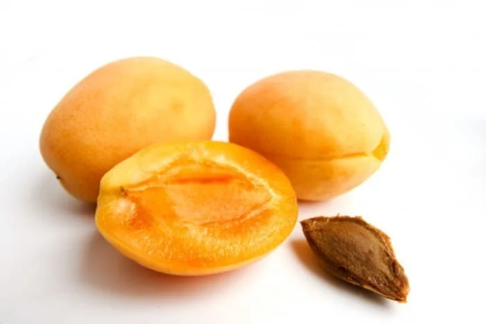 دانستنی مواد غذایی/مهمترین خواص و مضرات زردآلو + طبع و ماسک زردآلو