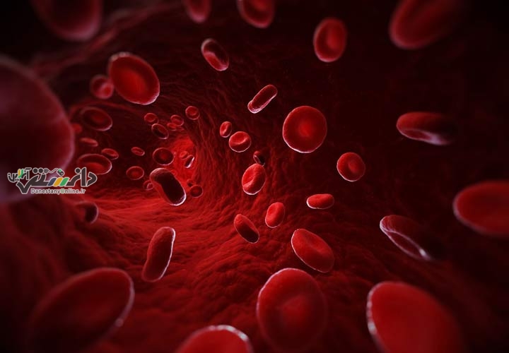 پشه ها چه کسانی را بیشتر دوست دارند؟