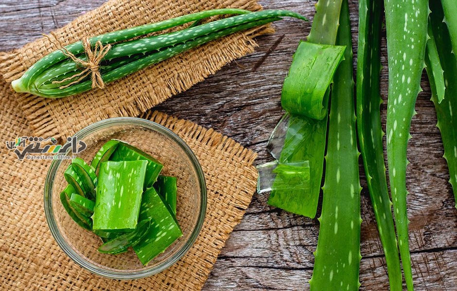 چگونه آلوئه ورا را به درستی پوست بگیریم ؟ آموزش گام به گام