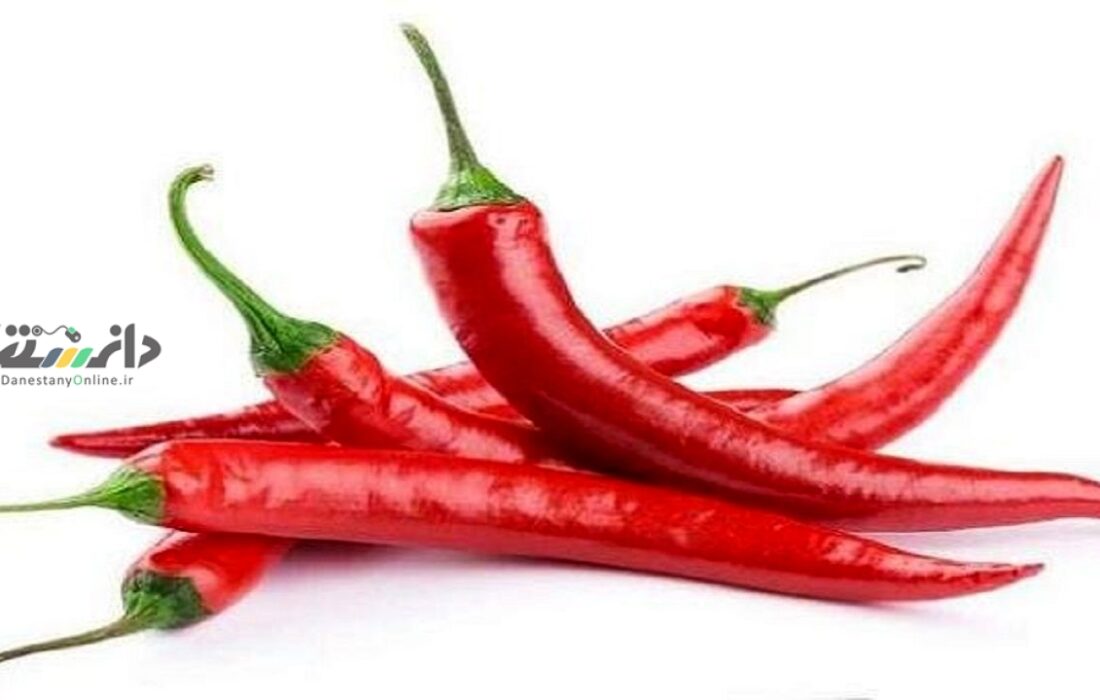 این خوراکی را به رژیم غذایی تان اضافه کنید و ۱۰ سال بیشتر زندگی کنید