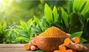 زردچوبه؛ طلای خوراکی یا راز جوانی؟