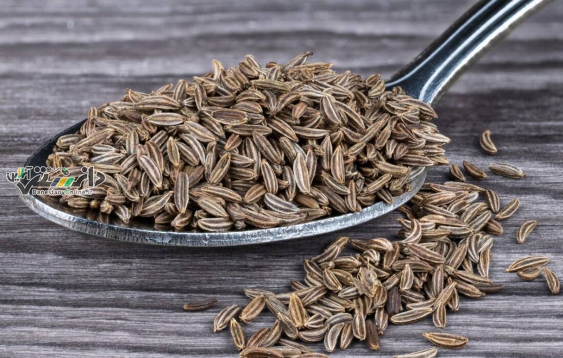 چگونه نیاکان ما سالم می ماندند ؟ پاسخ را اینجا بخوانید