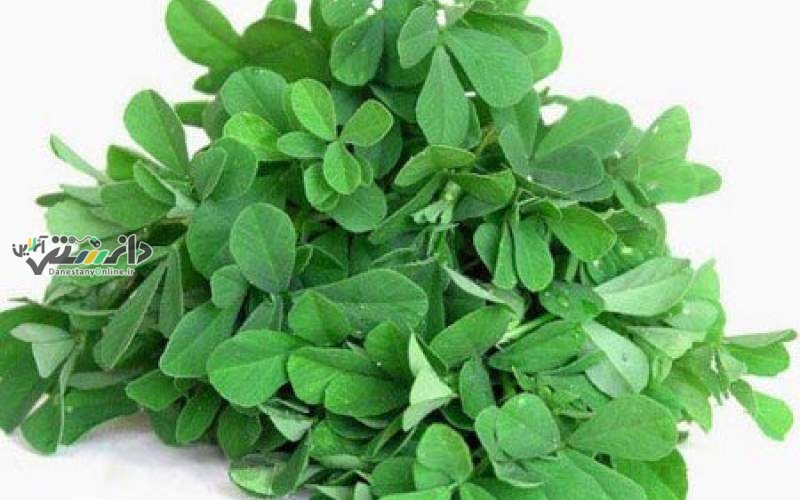 شنبلیله دشمن پنهان چربی های مضر