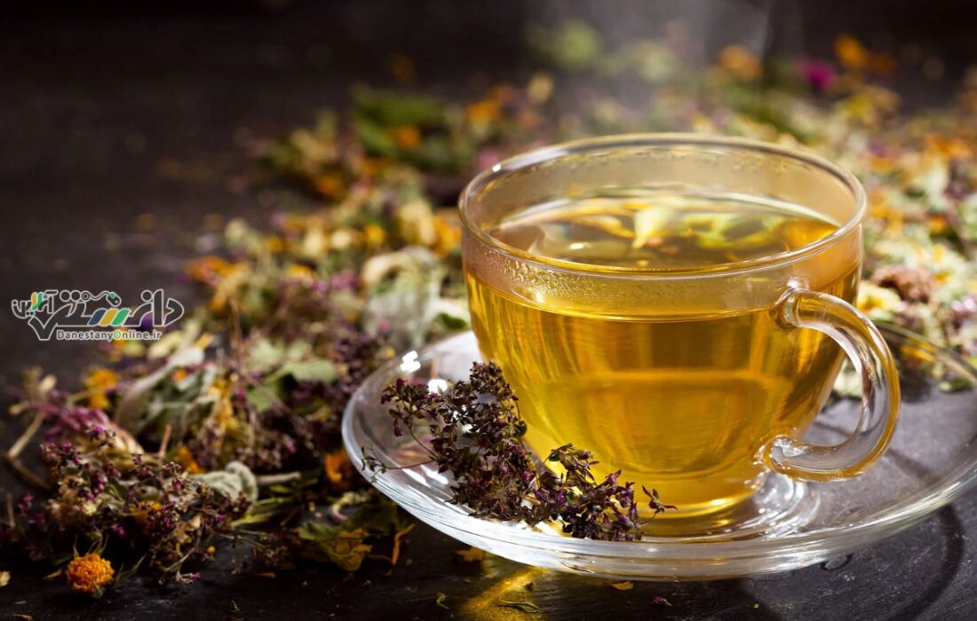 چای سبز را چه وقت بنوشیم تا اثر بیشتری داشته باشد؟