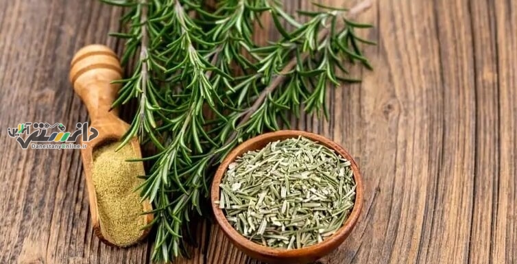 با این گیاه جای زخم ترمیم میشود و پوست بهبود مییابد