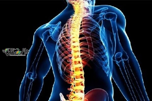 افزایش درد و مشکلات ستون فقرات در نسل جوان