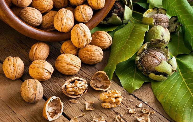 از امروز شب ها گردو بخورید تا معجزه آن را ببینید