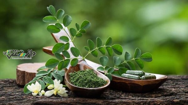 آب مورینگا ناشتا راهی طبیعی برای کنترل قند خون
