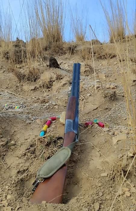 دستگیری متخلف شکار غیر مجاز در شهرستان ساوجبلاغ