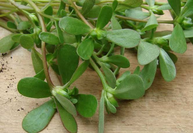 خواص شگفتانگیز یک سبزی ساده