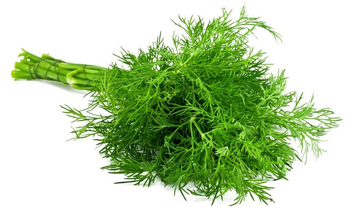 پاکسازی کبد با گیاه معطر آشپزخانه